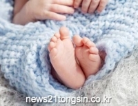 기사이미지