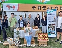 기사이미지