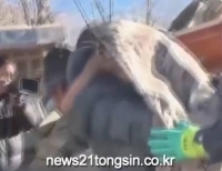 기사이미지