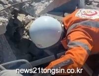 기사이미지