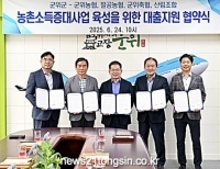 기사이미지