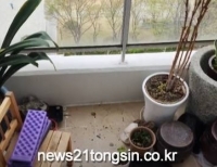 기사이미지