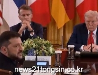 기사이미지