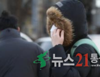 기사이미지
